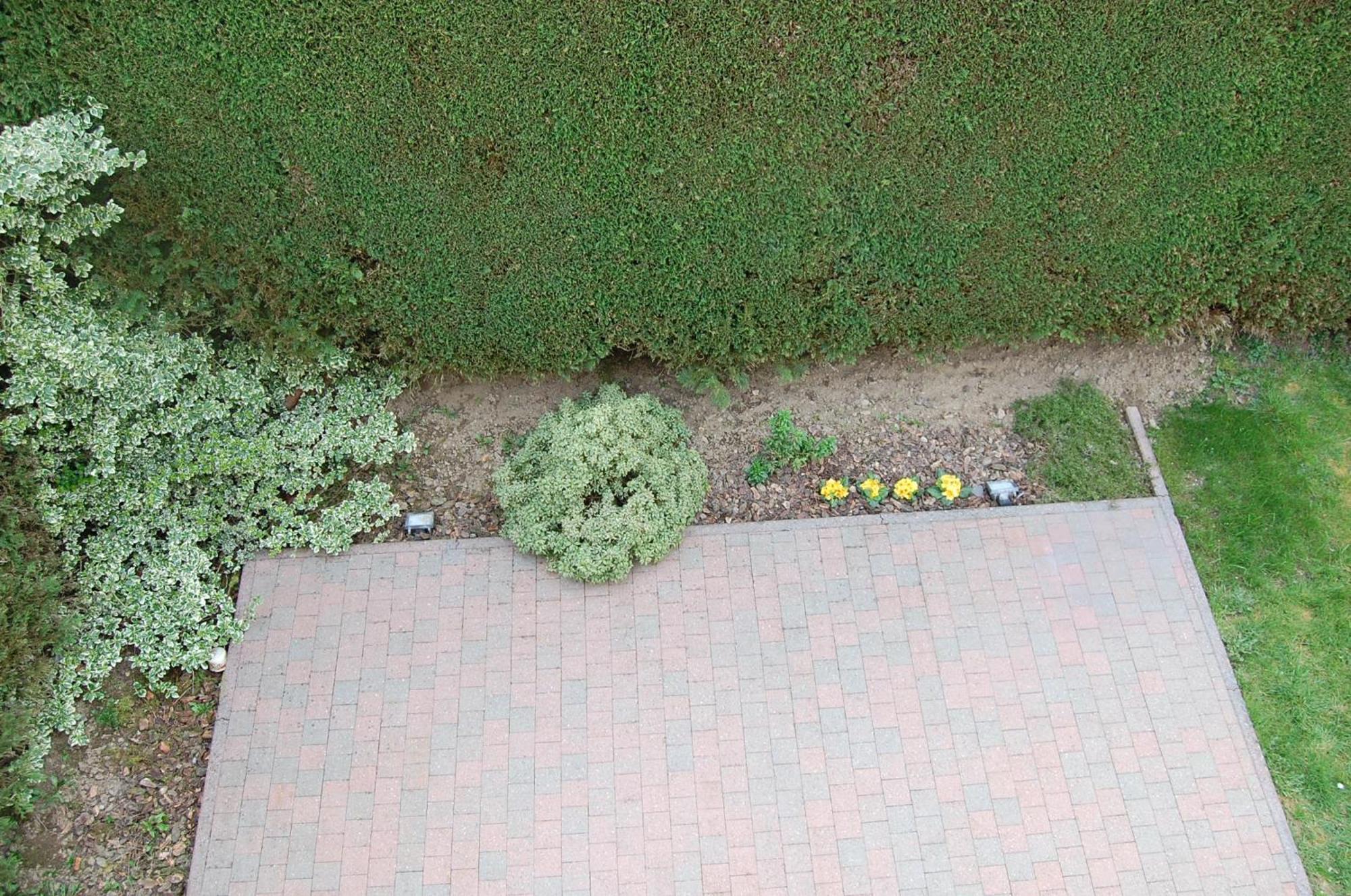 B&B Des Bois Sans Nombre 팔리세울 외부 사진